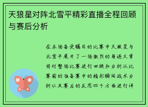 天狼星对阵北雪平精彩直播全程回顾与赛后分析