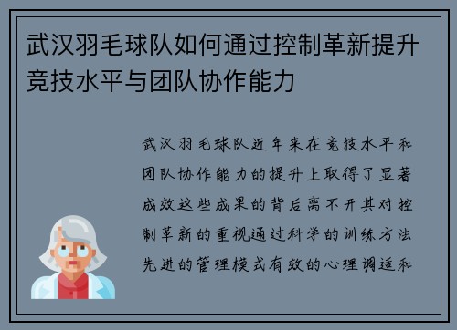武汉羽毛球队如何通过控制革新提升竞技水平与团队协作能力