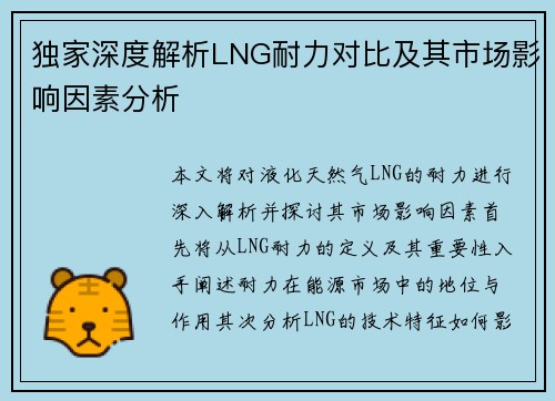 独家深度解析LNG耐力对比及其市场影响因素分析