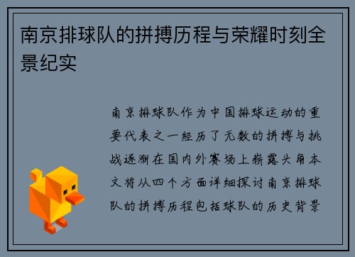 南京排球队的拼搏历程与荣耀时刻全景纪实